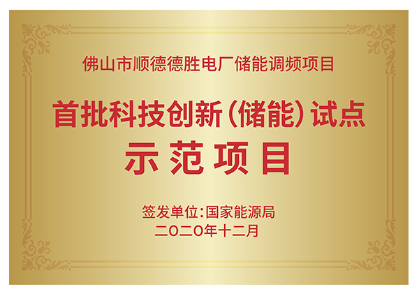 國家能源局首批科技創新（儲能）試點示范單位